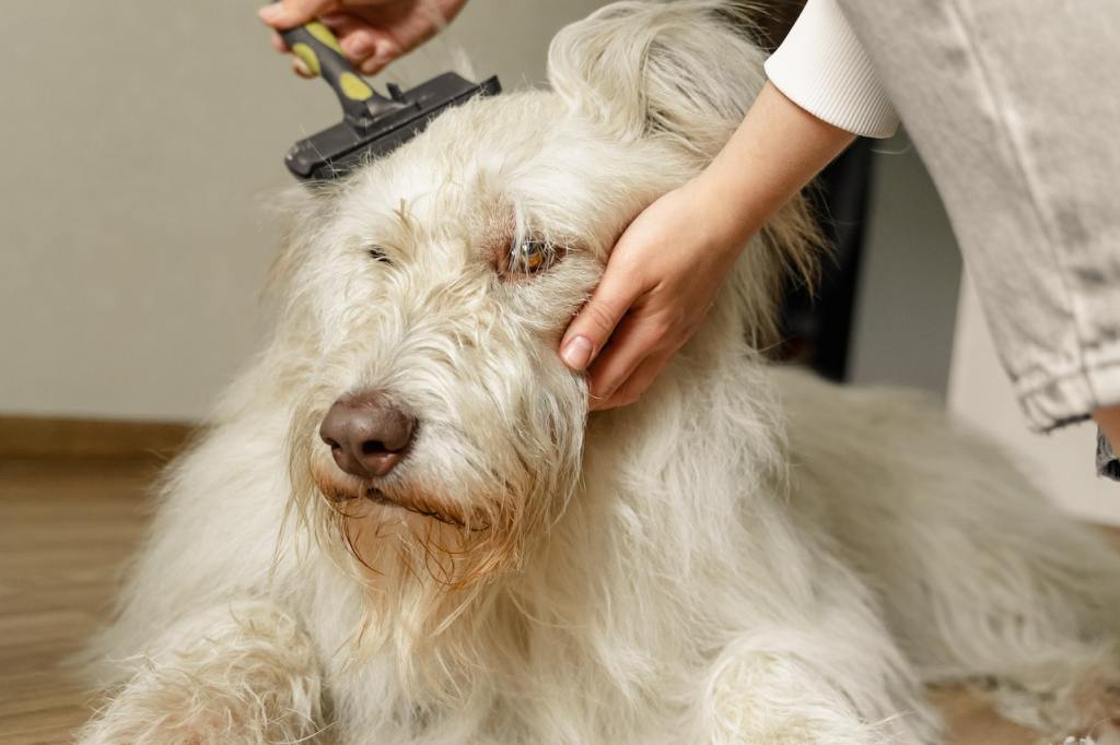 A photo of a dog being brushed