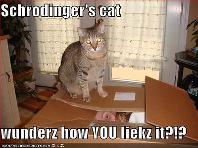 A person is in a large cardboard box with the flaps shut. A cat is sat on top of the box. The caption says: Schrodinger's cat wunderz how YOU liekz it?!?